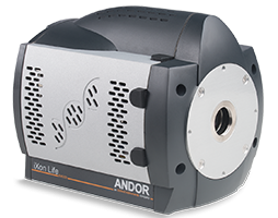 iXon Life EMCCD is engineered to deliver single photon sensitivity with absolutely unparalleled price/performance