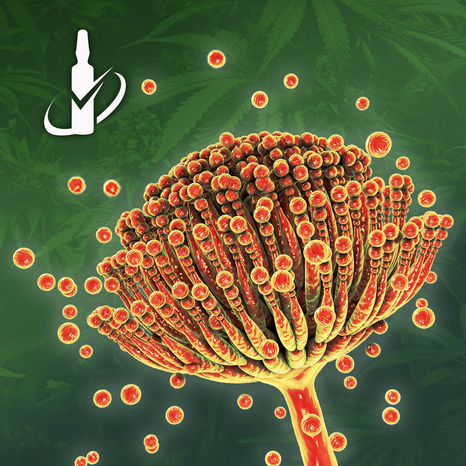 Mycotoxins are toxic secondary metabolite compounds produced by mold or fungi