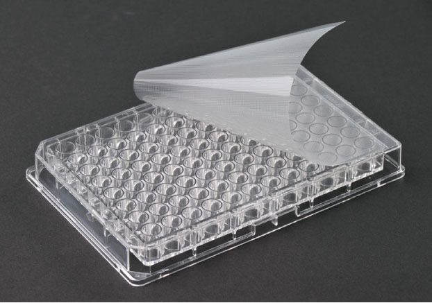 biochromatopr9-image
