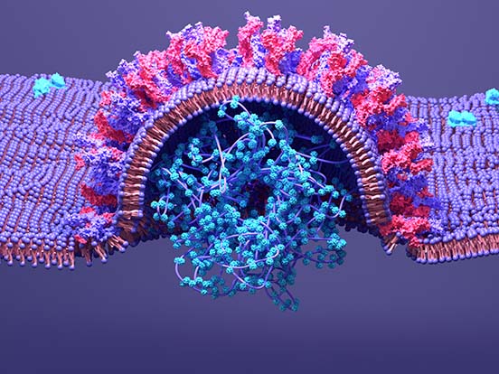 amsbiopr285-image