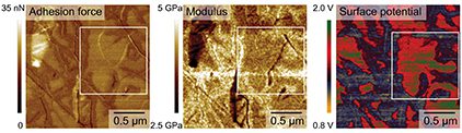 Fig. 3. Adhesion force and modulus on graphene on a sapphire substrate acquired via Park Systems’ PinPoint mode and the corresponding surface potential imaged via sideband KPFM at the same measurement area