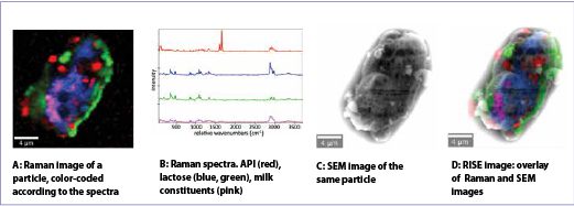 Fig. 2. Correlative Raman-SEM (RISE) analysis of particles from an anti-asthma inhaler.