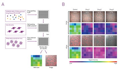 Fig. 2 (A) Anti-viral screening (B) Comparison of images and well-scans showing viral replication in infected cells either non-treated or treated with different drugs. Images were taken with an imaging device, well-scans were performed on a microplate reader