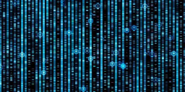 shutterstock_1536865310_web-600x300