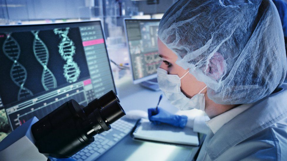 Looking at a genome gettyimages-1248569517