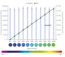 Fig. 2. Linear relationship of percentage of GFP+/mcherry+-HeLas (=transfection efficiency) and obtained GFP signal with matrix scan. Error bars refer to 8 replicates. Matrix scan example shown for one well each (round area below the bars)
