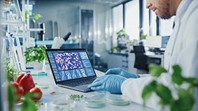 Gene editing can help produce crops that are resistant to disease