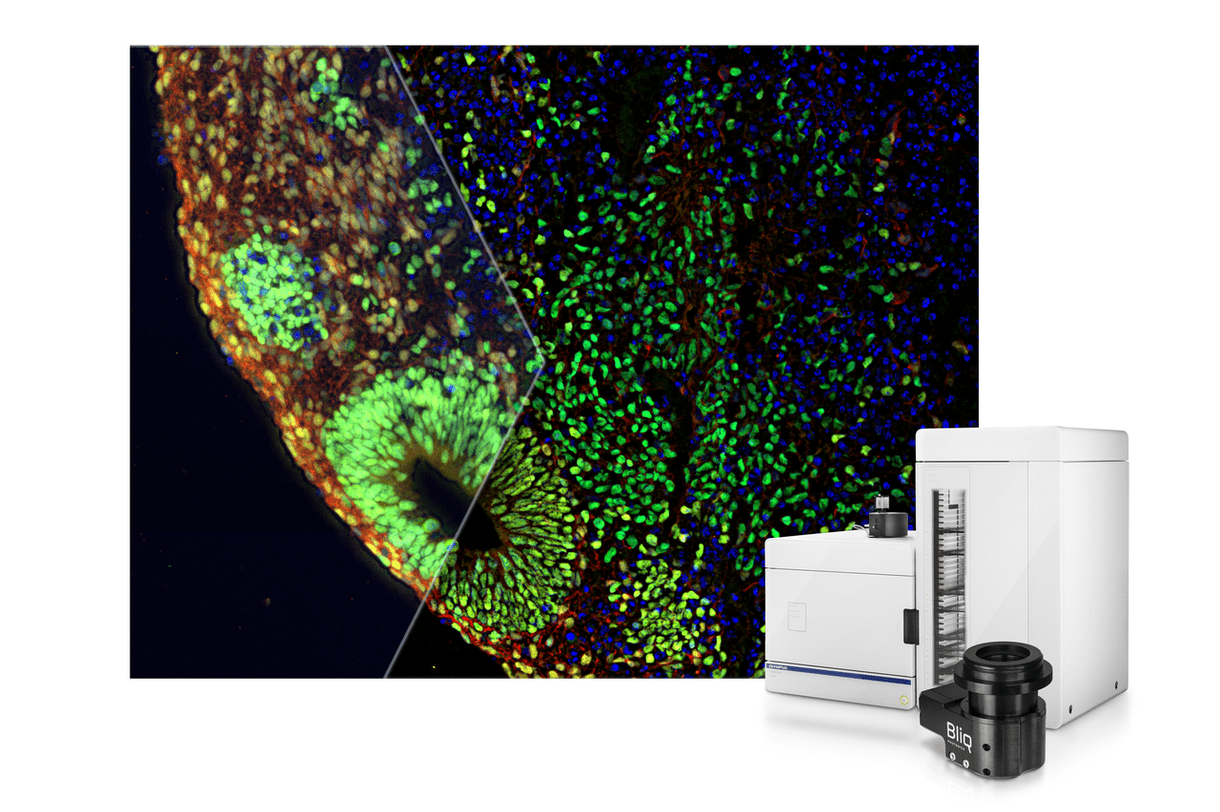 Advancing high-contrast imaging - Scientist Live