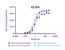 Fig.4. ELISA showing equivalent target binding of anti-PD-L1 VHHs, produced using E. coli and Phenotypeca’s Saccharomyces system, including a bi-specific variant