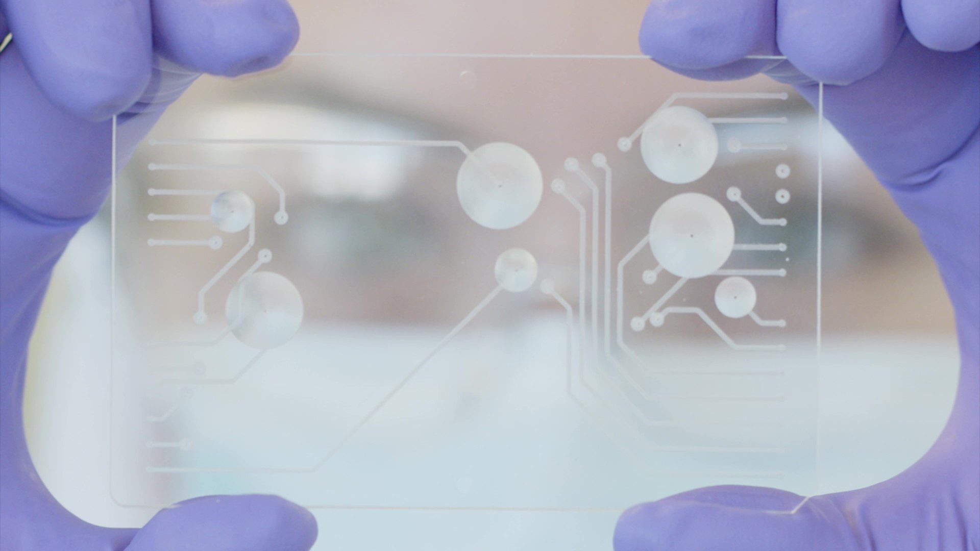 Advances in organ-on-a-chip technology - Scientist Live