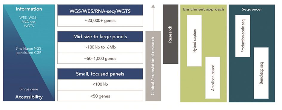 Figure 2: Overview of oncology research approaches and applications