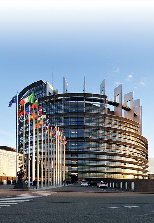 The EU Parliament wants to exclude NGT plants from patentability