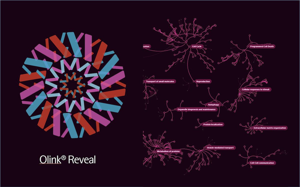 Reveal_pathways