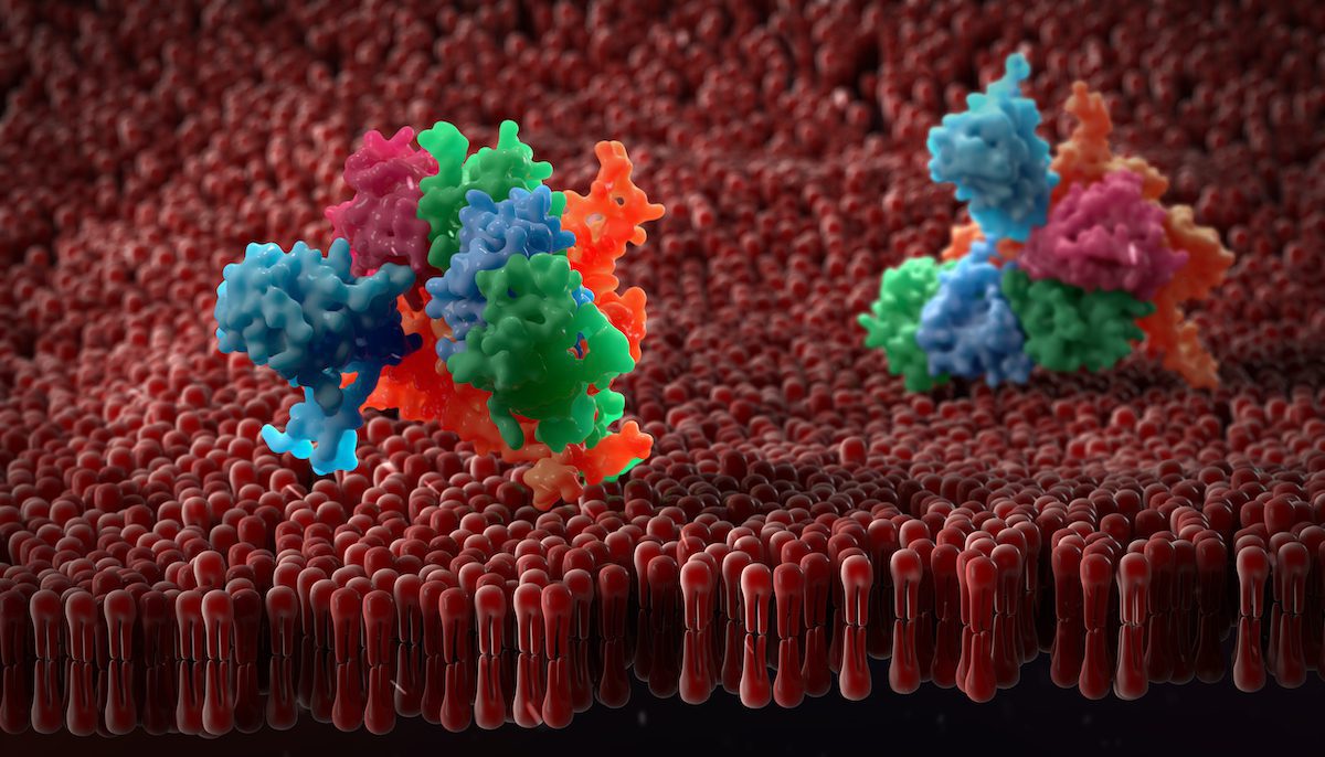 amsbiopr376-image (1)