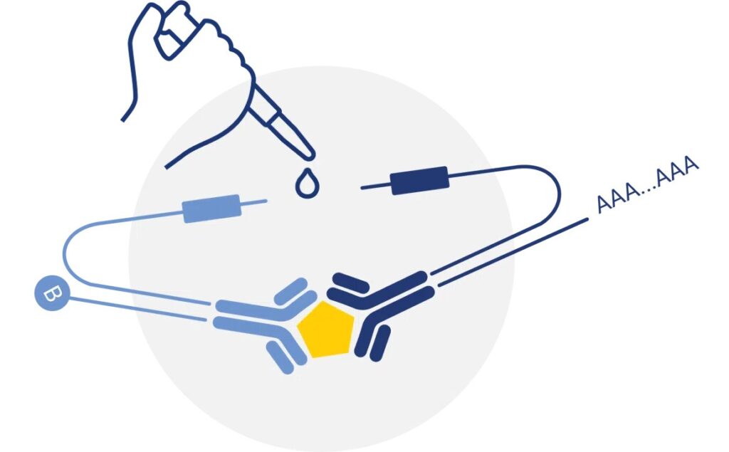 Custom assay development kit launched - Scientist Live