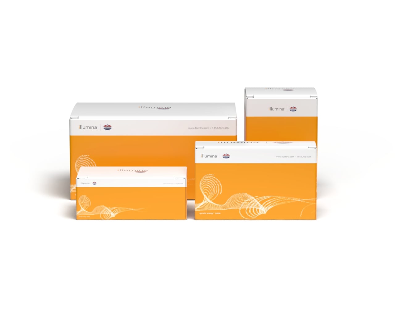 ipp-product-packaging-01