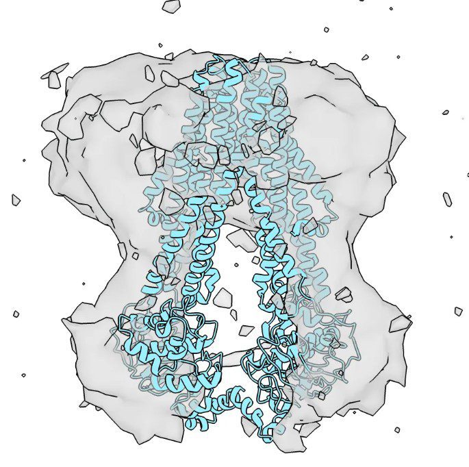 Screenshot 2025-05-01 100546