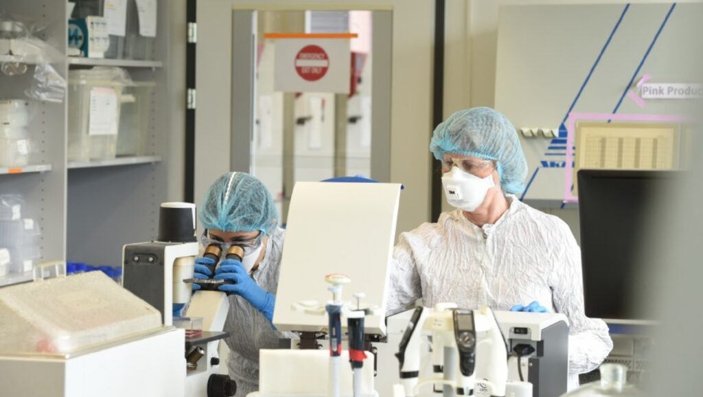 Brenus and Insphero develop 3D colorectal tumour spheroids - Scientist Live