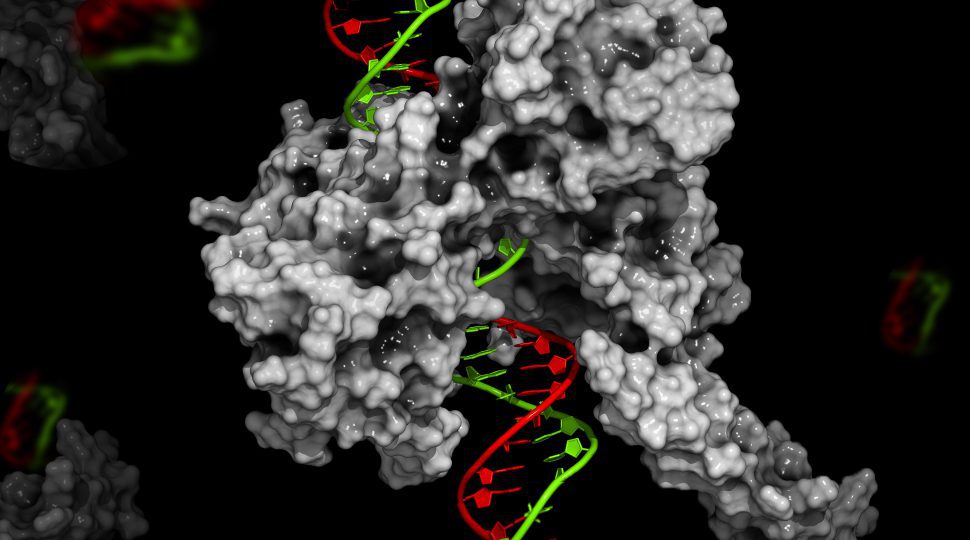 cover image (2)
