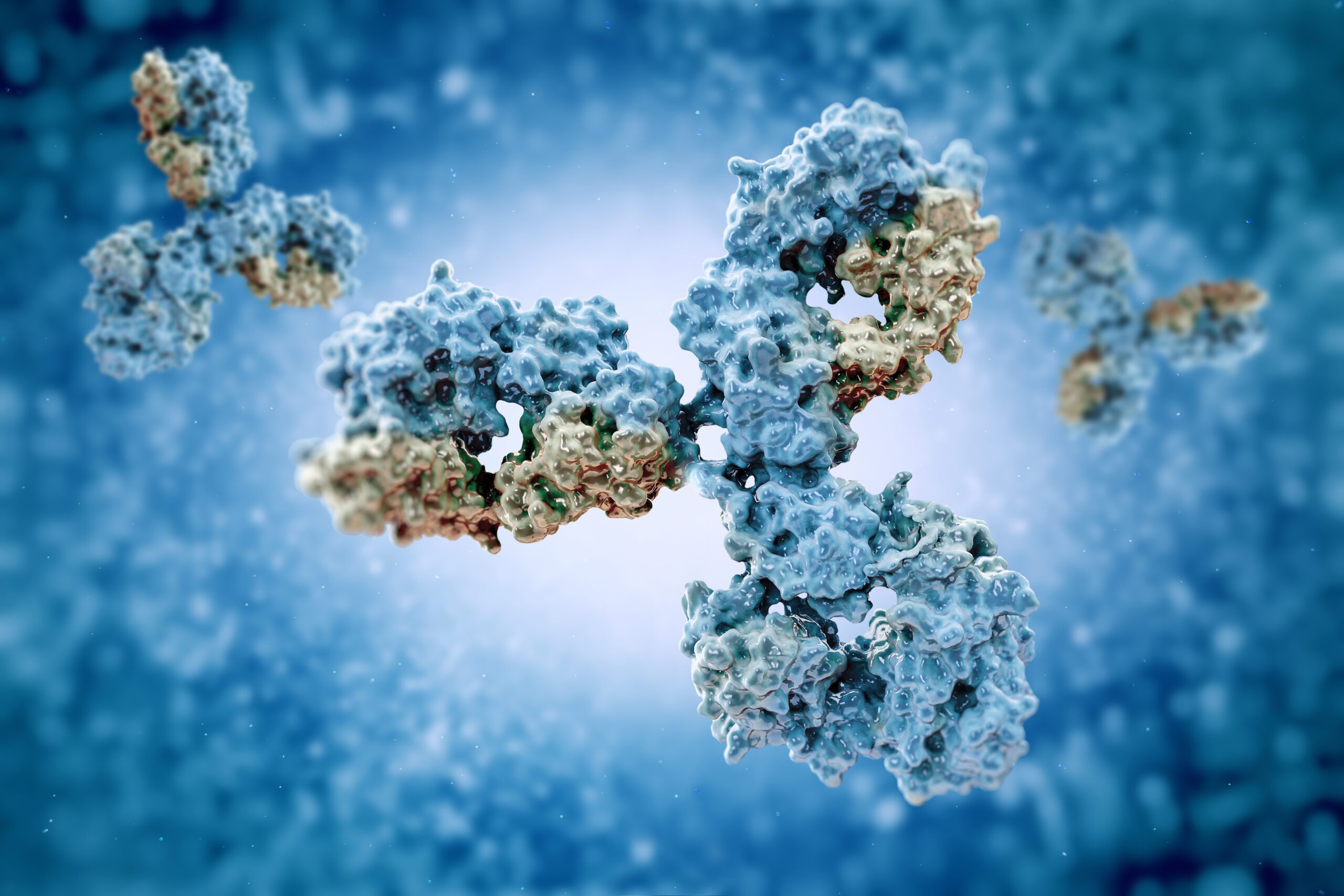 Illustration of a monoclonal antibody