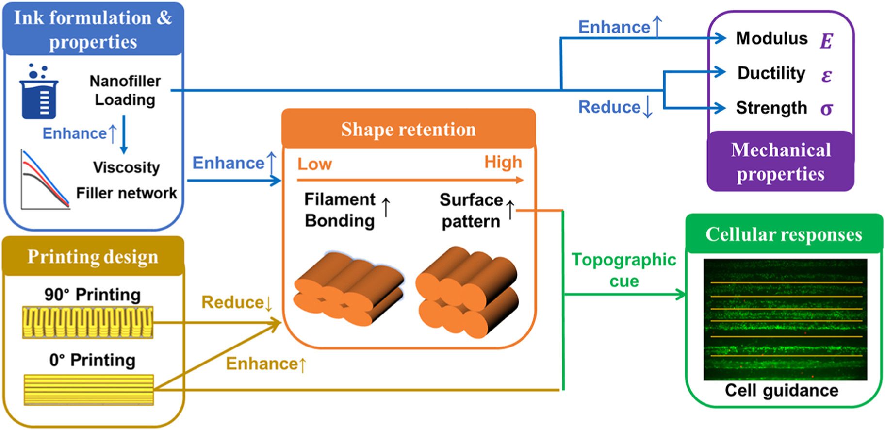 figure-1-the-interplay-between