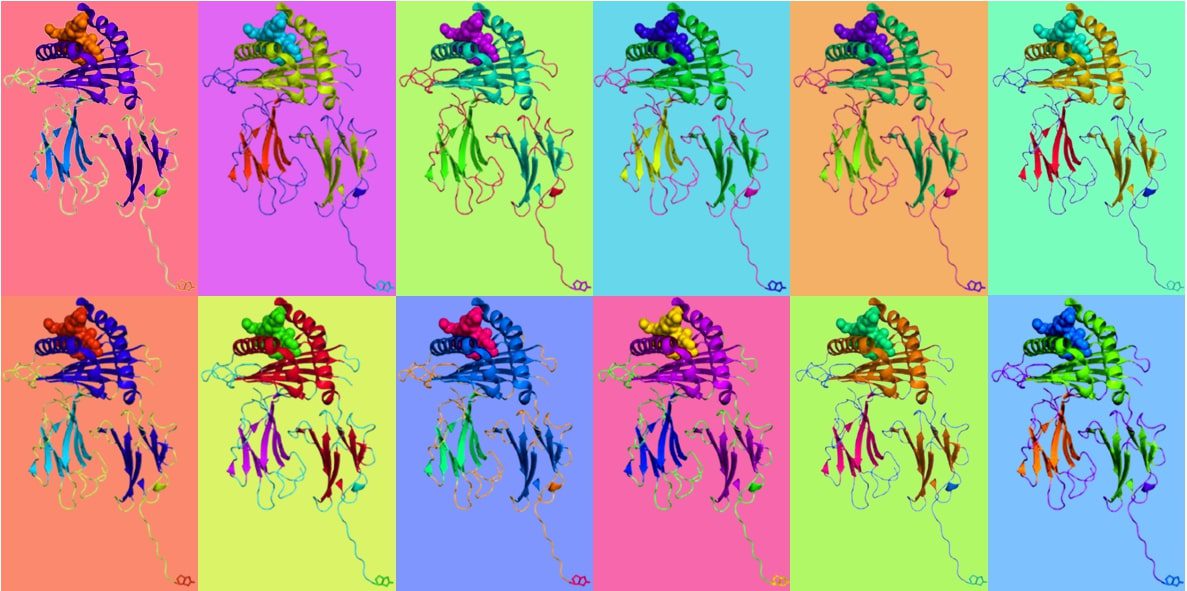 Andy-Warhol-Monomer-Image-with-bg-6x2-1