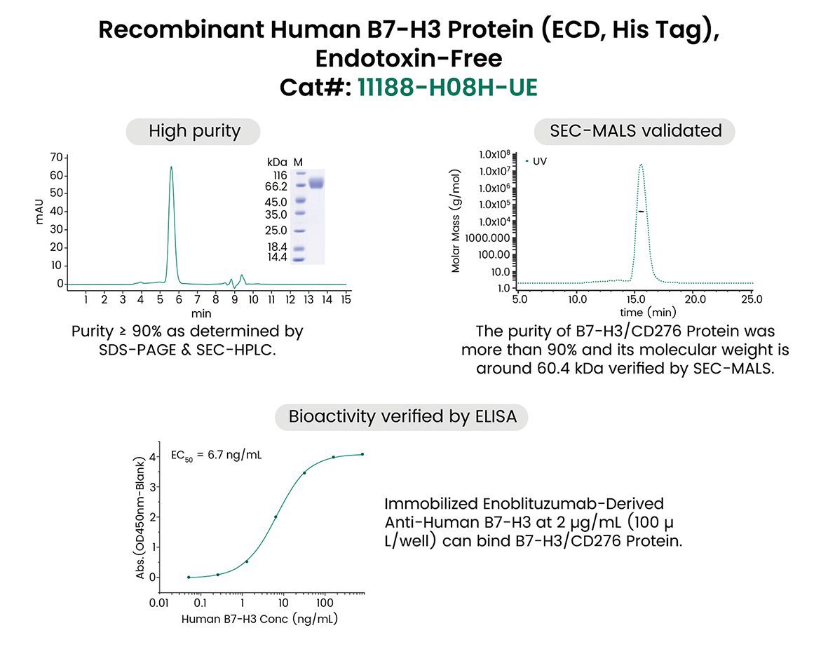 Fig.1: Premium ProPure endotoxin-free protein
