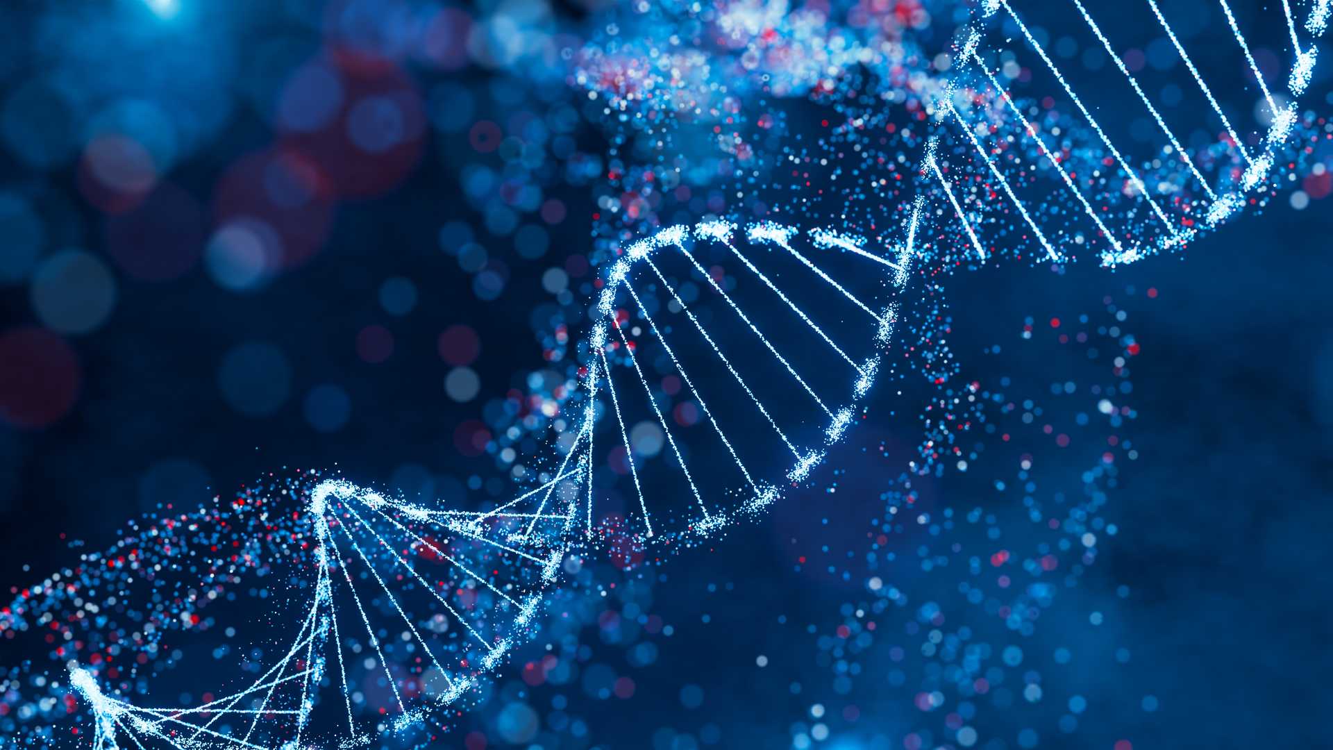 Image via Creative Biolabs