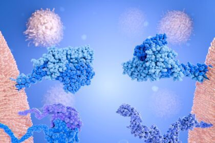 membrane protein receptor