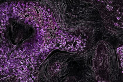 Image via National Cancer Institute on Unsplash