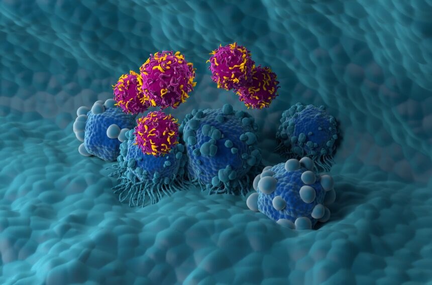Image via Creative Biolabs