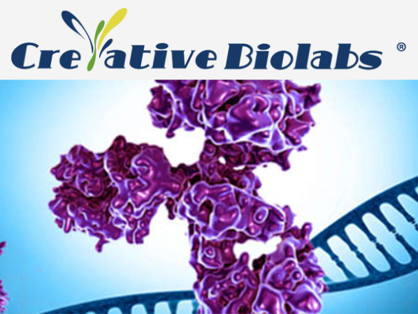 Creative Biolabs Image 3