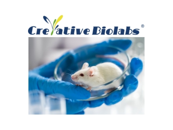 Creative Biolabs Image 4