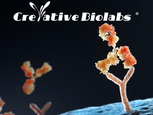 Creative Biolabs Image 5